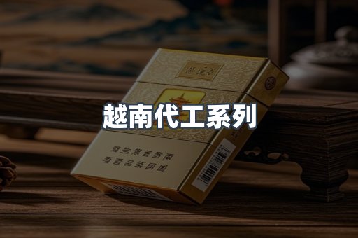 越南代工系列